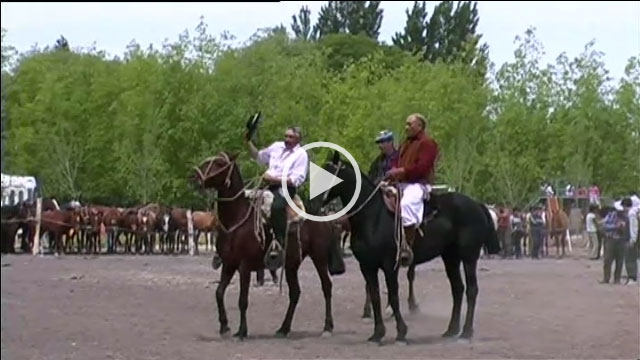 Eine Reise ans Ende der Welt